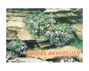 Albums akvareu A2, 15 lapas